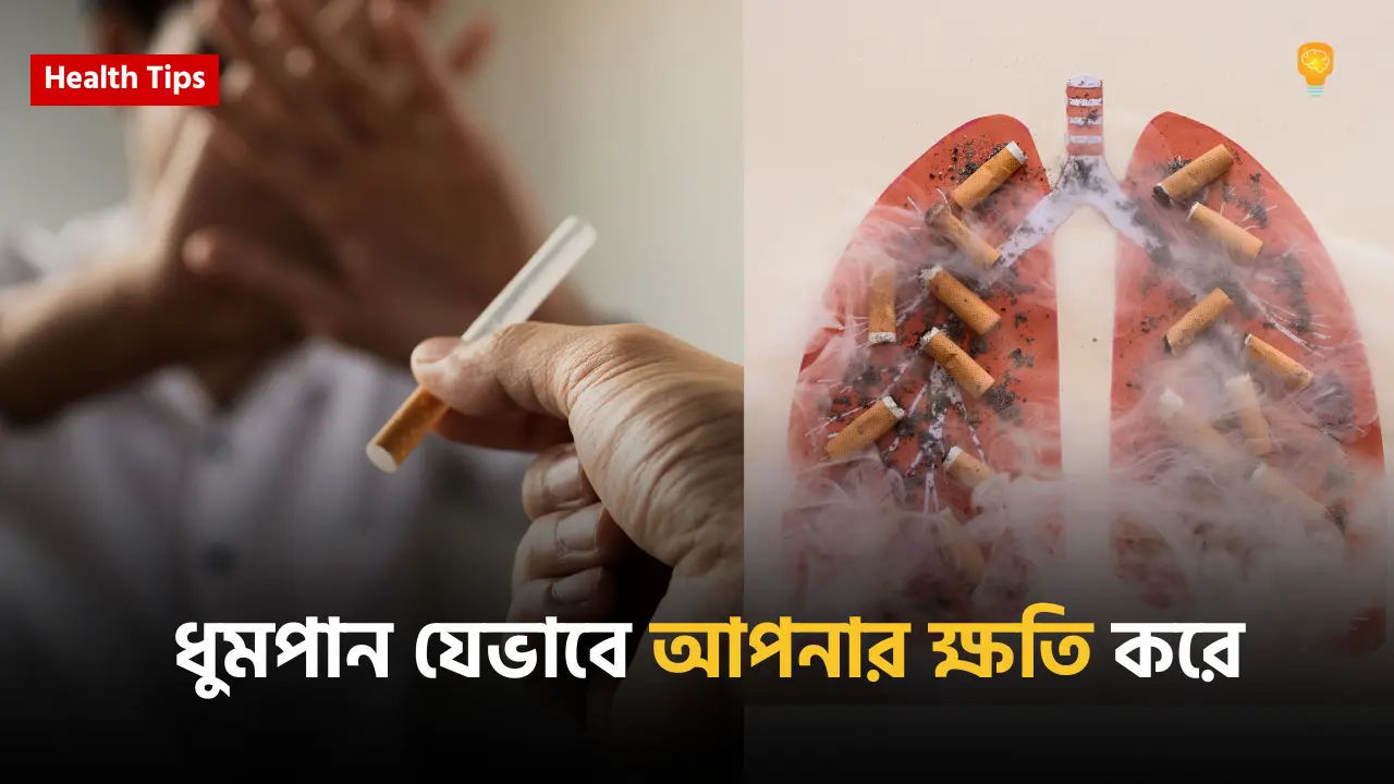 ধুমপান যেভাবে আপনার ক্ষতি করে।